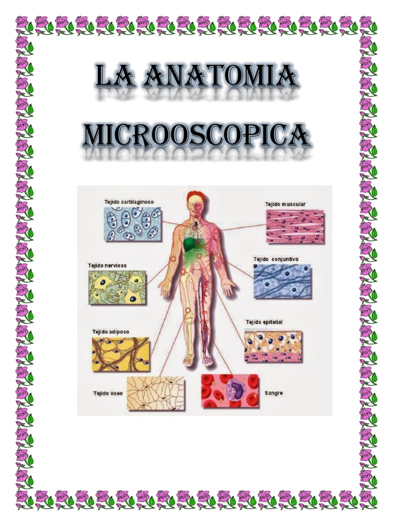 histologia y anatomia microscopica humanas