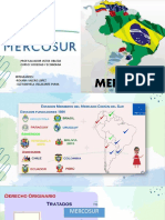 Exposicion Mercosur 1