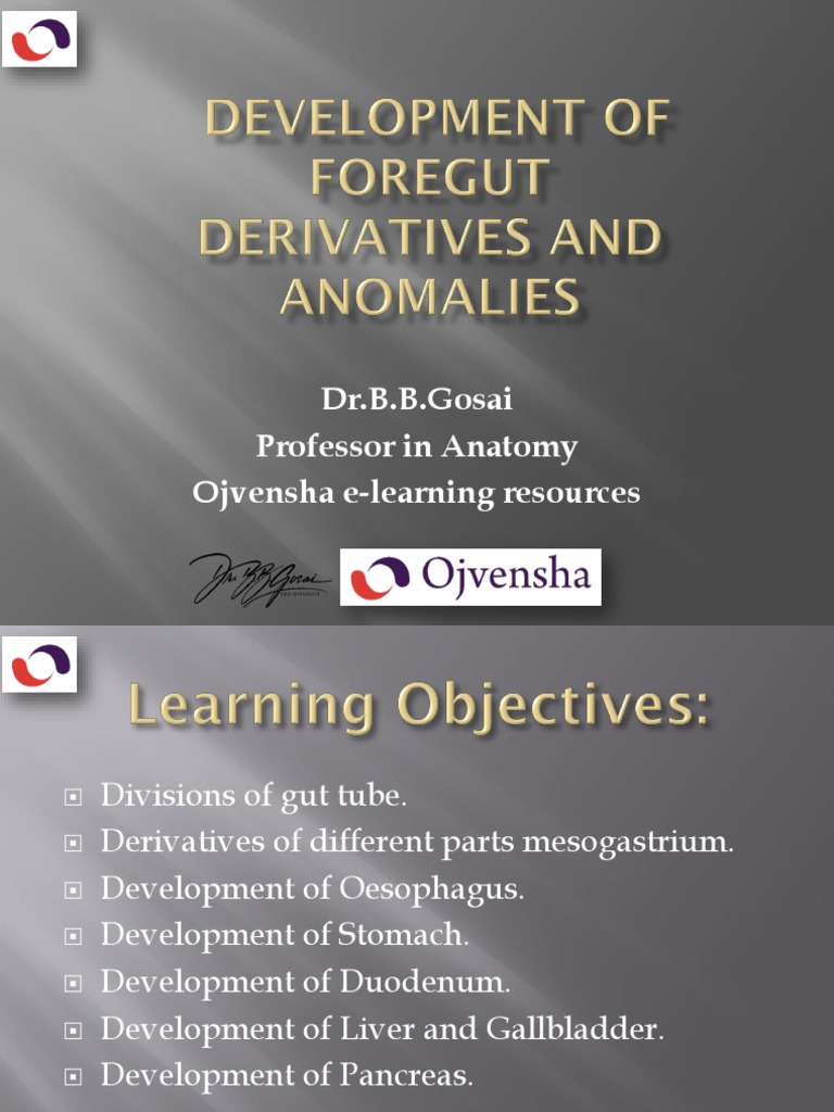 17 development of foregut derivatives and anomalies pdf pancreas