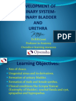 22 - Development of Urinary Bladder and Urethra