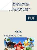 ÖFKE YÖNETİMİ VE STRESLE Başa Çıkma