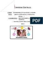 Circulacion Fetal y Neonatal