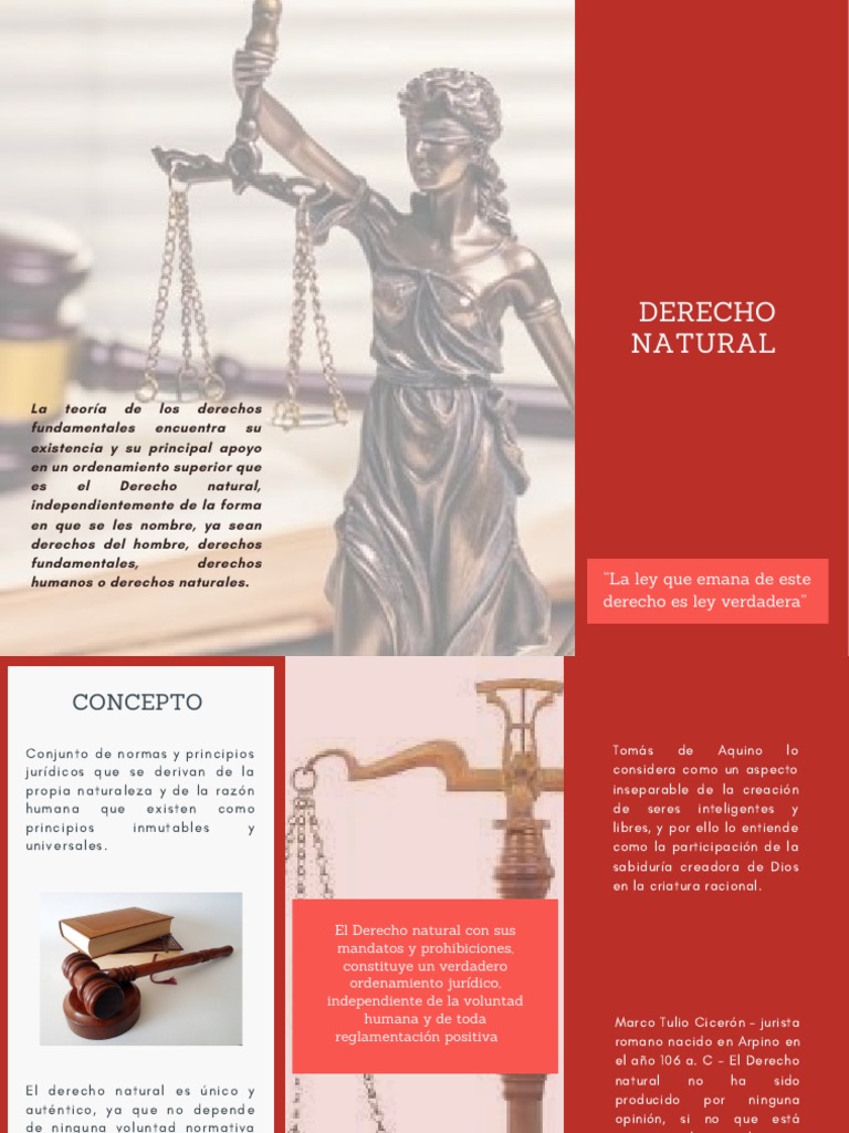 Derecho Natural | PDF | La Ley natural | Metafísica
