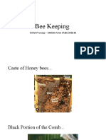 Bee Keeping: Rawep Group - Krishi Yuva Sancordem