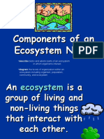 Components of An Ecosystem Notes
