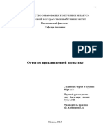Отчет преддипломная практика печать 2013