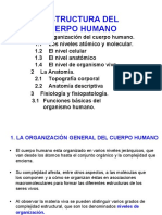 Ud 1 Estructura Corporal 2021