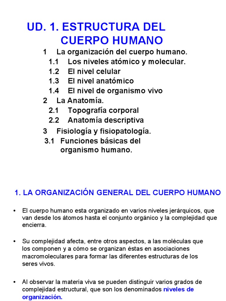 Niveles de Organización del Cuerpo Humano | PDF | Términos anatómicos ...