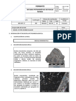 Formato: Estudio Petrográfico de Rocas Ígneas