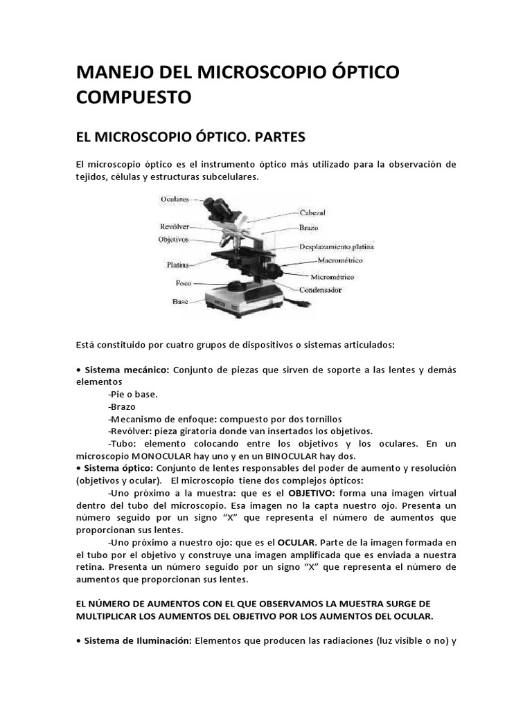 El Microscopio Óptico | PDF | Lente de la cámara | Óptica