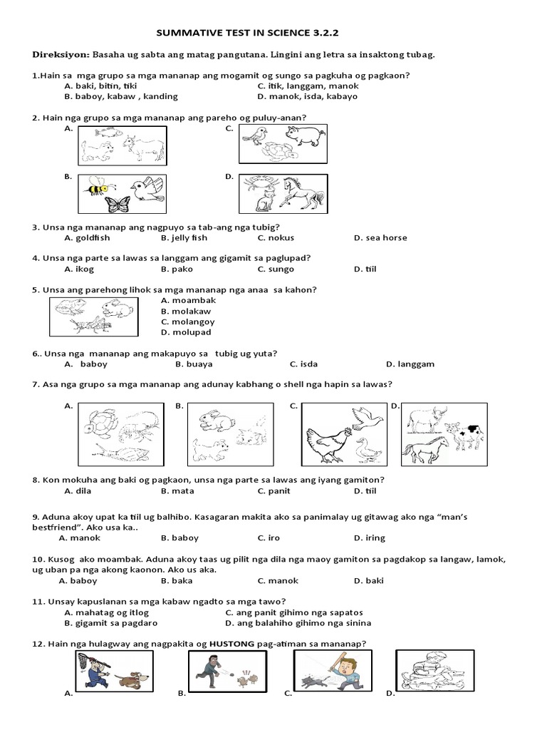 Summative Test in Science 3.2.2 SLK 2 and 3 | PDF