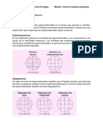 Tarea de Investigacion Del Esperma