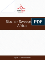 Biochar Sweeps East Africa