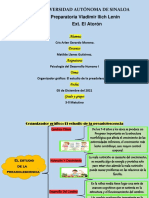 CAGM - Organizador Gráfico-El Estudio de La Preadolescencia