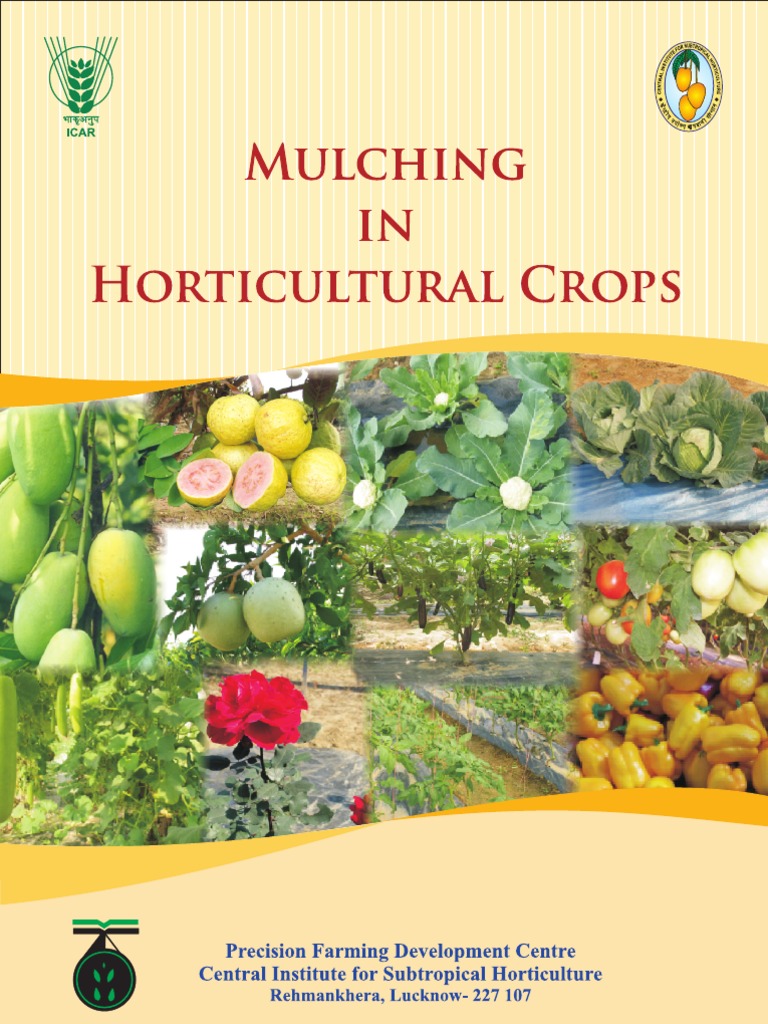 Mulching in Horticultural Crops Bulletin) PDF Mulch Soil