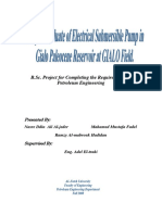 Study and Evaluate of Electrical Submersible Pump in Gialo Paleocene Reservoir at Gialo Field - Hadidan Et. Al