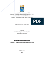 Relatório Produção e Isolamento Do Glúten (Tecnologia de Cereais)