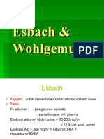 Esbach - Wohlgemuth