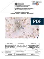 GP 041 - Examen Morf. Eritroc. UrinariaF