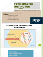 Huntington, Presentaciones 1, 2, 3 y 4