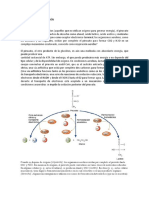 PROCESOS DE FERMENTACIÓN