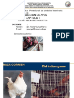 Produccion de Aves Capitulo Ii: Escuela Académica Profesional de Medicina Veterinaria Ciclo de Estudios I X