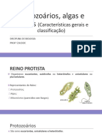 Protozoários, algas e fungos: classificação e características