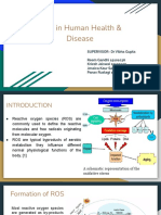 ROS in Human Health & Disease