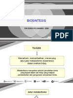 4 Kapsel - Biosintesis