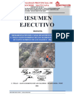 RESUMEN EJECUTIVO - HUANCHI