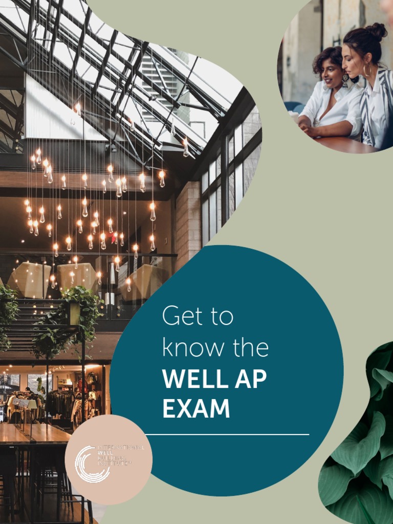 Well Ap Examp Prep PDF v4 | PDF | Air Pollution | Lighting