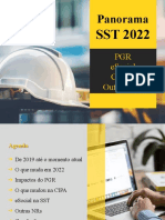 Panorama SST 2022_ PGR, ESocial, CIPA e Outras NRs