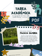 Tarea Académica: Ecogeografía Del Perú-YX1B