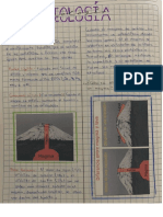 Actividad3 - Geología Semana3