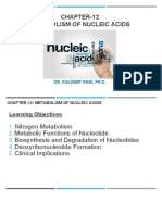 Chapter 12 Metabolism-Of Nuceic Acids