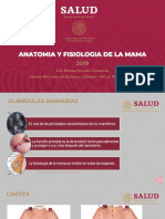 Anatomia de La Mama