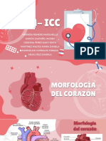 Morfología del corazón e ICC