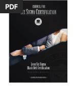 Lean Six Sigma Black Belt Certification Training Manual