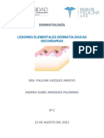 Lesiones dermatológicas