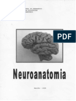 Apostila Neuroanatomia Departamento Anatomia UFPE (2009)