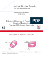 Conveccion Interna