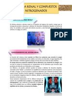 Resumen Sistema Renal