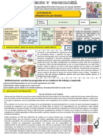 Actividad N°2 Exp 2 Segundo