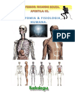 Apostila Dna Anatomia 01 Color