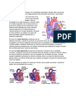 Ciclo Cardiaco