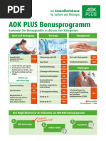 Bonusprogramm | PDF