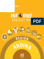 Informe Región Andina