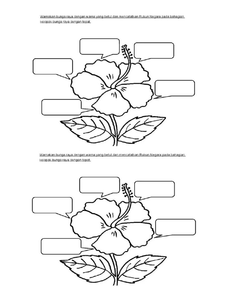 Bunga Raya Rukun Negara | PDF