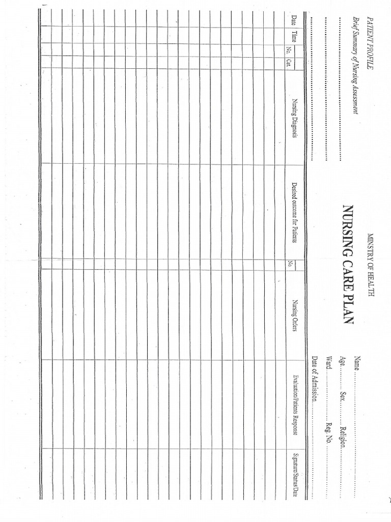 Nursing Care Plan | PDF