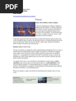 A relação dos seres vivos